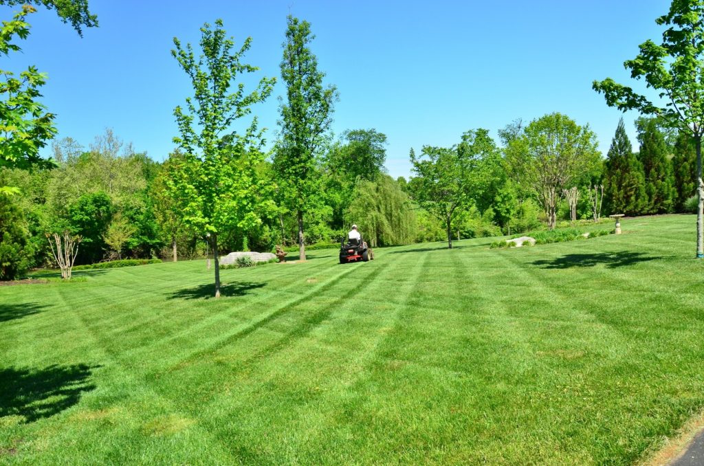 Lawn Mowing Pattern
